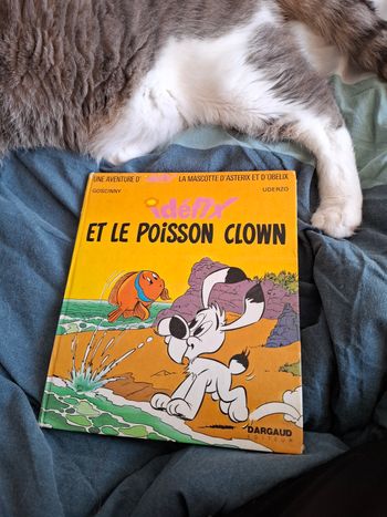 Livre enfant 