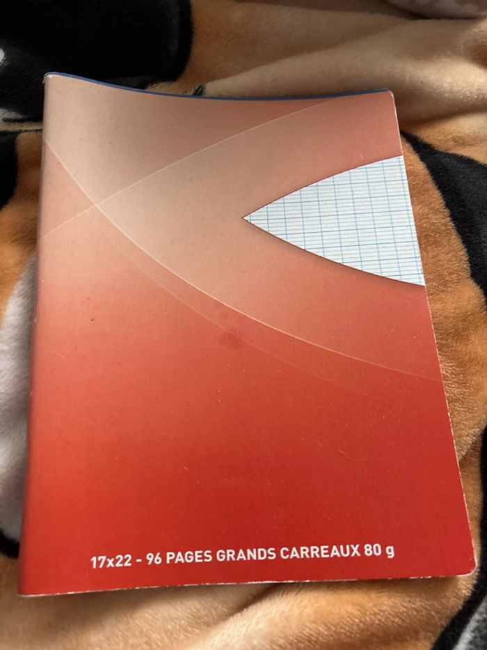 Lot cahier