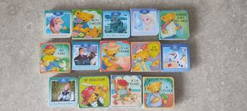 Lot de 14 minis livres