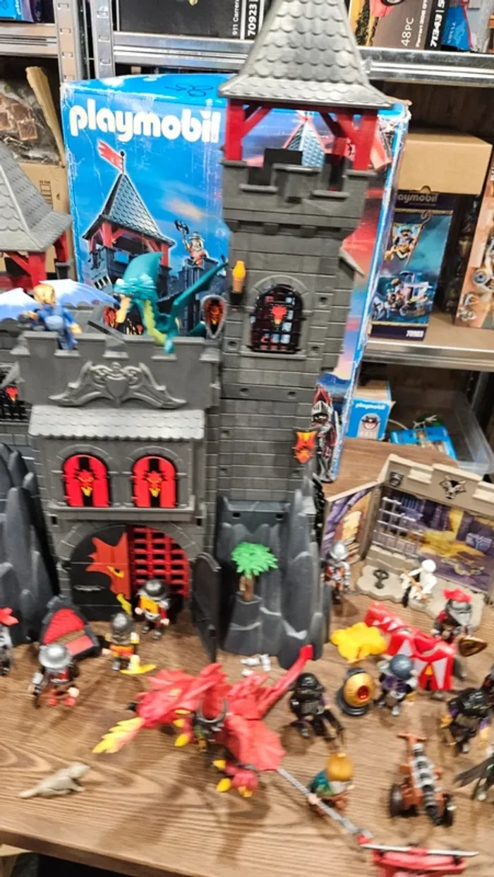 Gros lot chevaliers playmobil - photo numéro 2
