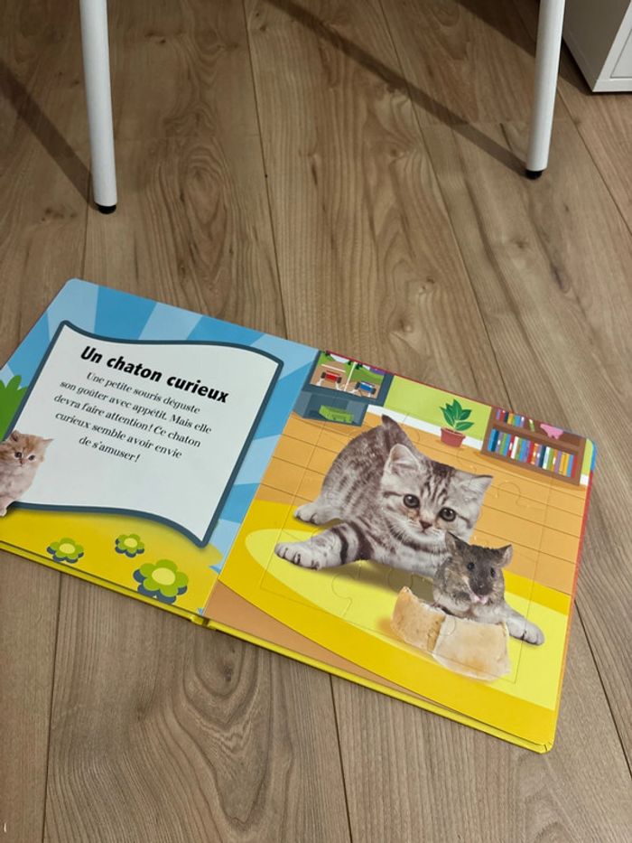 Livre 5 puzzle - photo numéro 5