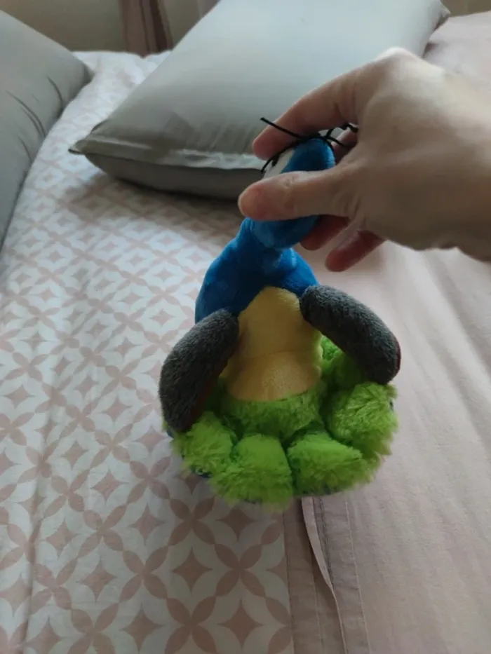 Peluches - photo numéro 3