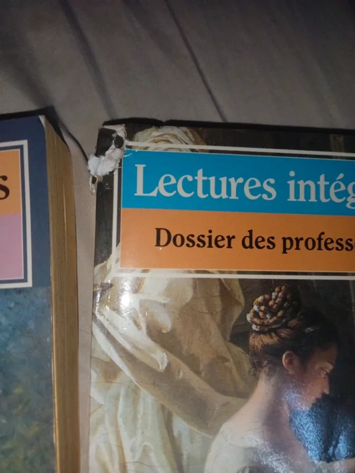 Lectures intégrales - dossiers professeurs - photo numéro 3