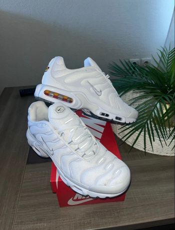 Nike TN Blanches