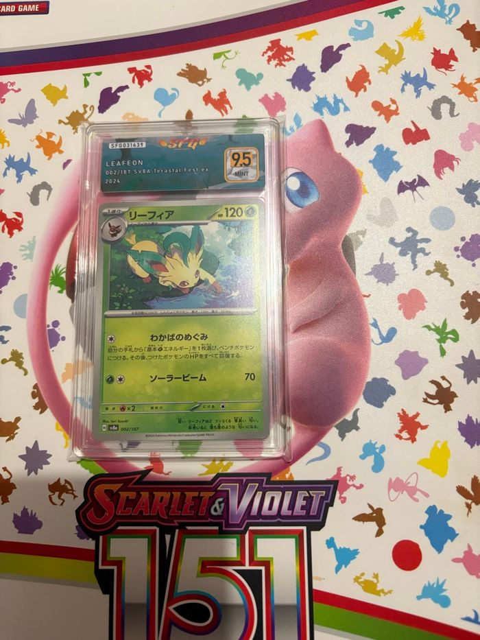 Phyllali SFG 9,5 - photo numéro 2