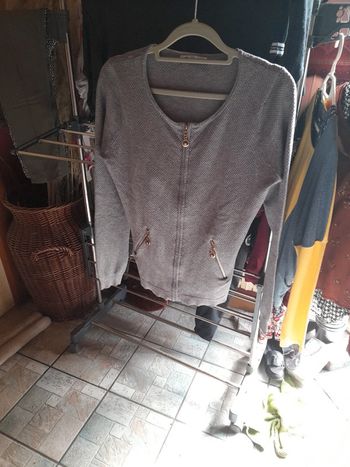 Gilet gris