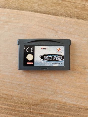 International winter sports gameboy