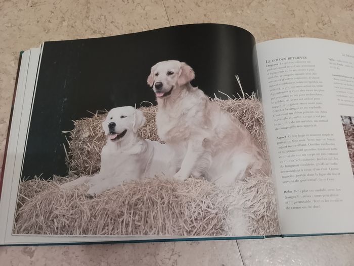 Encyclopédie des chiens - photo numéro 4