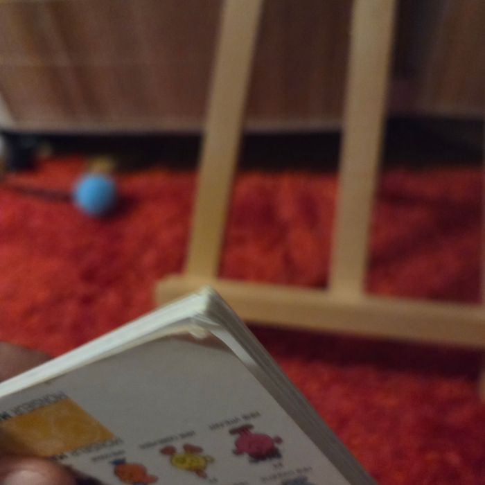 Livre enfant Monsieur Madame - photo numéro 4