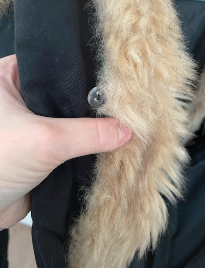Manteau - photo numéro 4