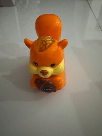 Tut tut animaux écureuil