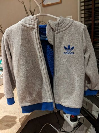 Veste sport adidas gris bleu