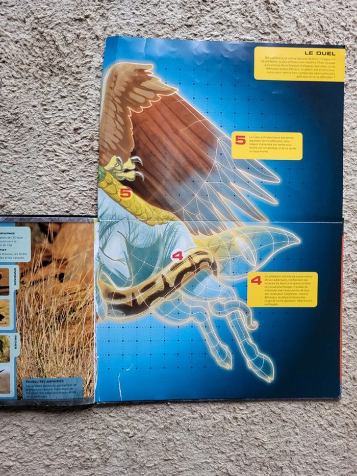 Livre documentaire enfants Zoom sur les animaux d'Afrique - photo numéro 15