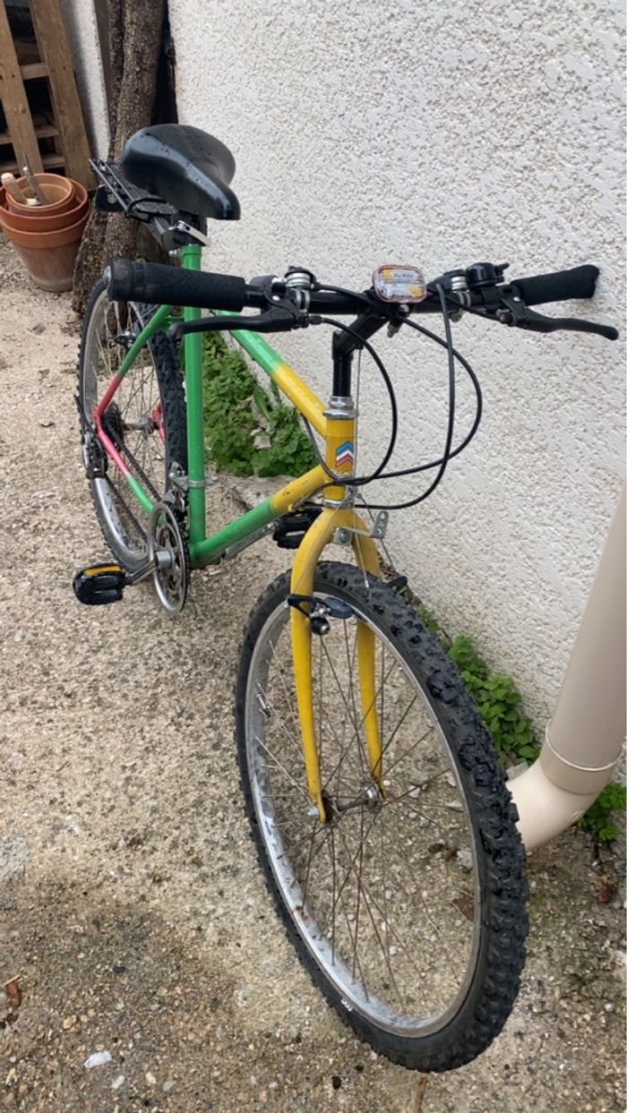 VTT champion de 1990 - photo numéro 6