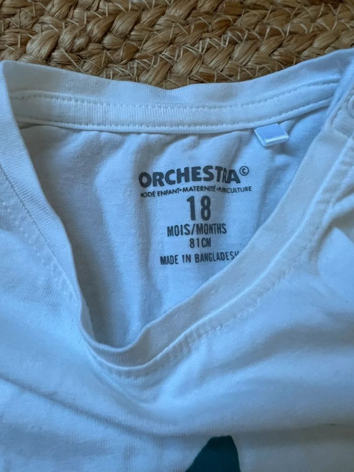 Ensemble orchestra 18m - photo numéro 2