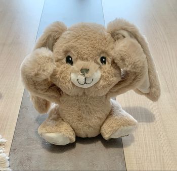 Peluche musicale lapin