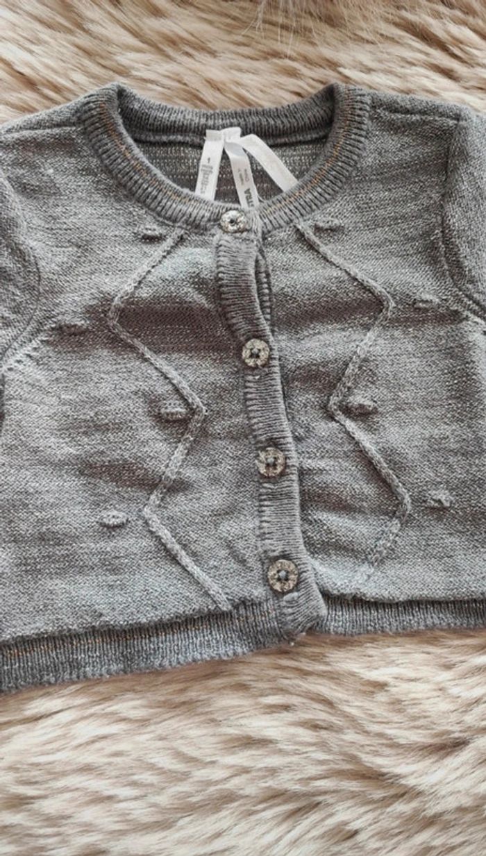 Gilet gris orchestra 1 mois - photo numéro 3