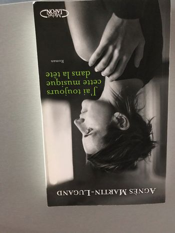 Agnès Martin Lugand grand format