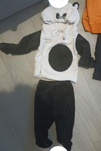 Ensemble panda DPAM 6 mois