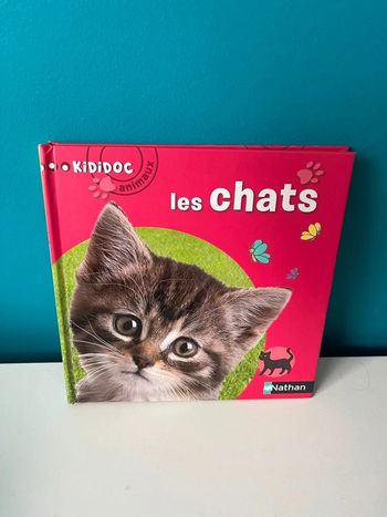 Livre animé kididoc les chats