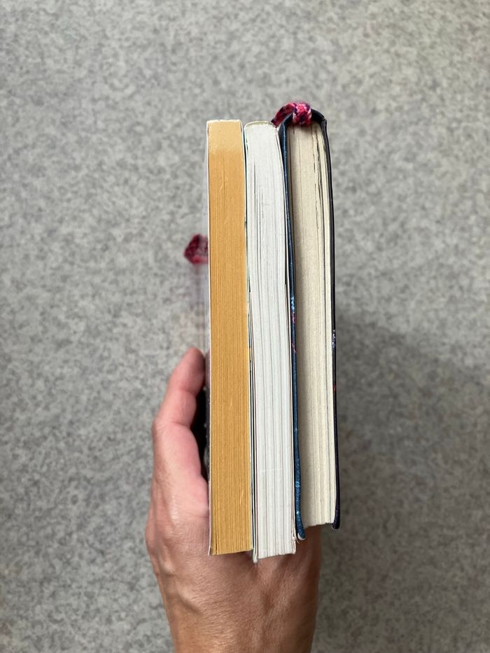 Lot de 3 livres jeunesse de 8 à 10 ans (2€80) - photo numéro 6