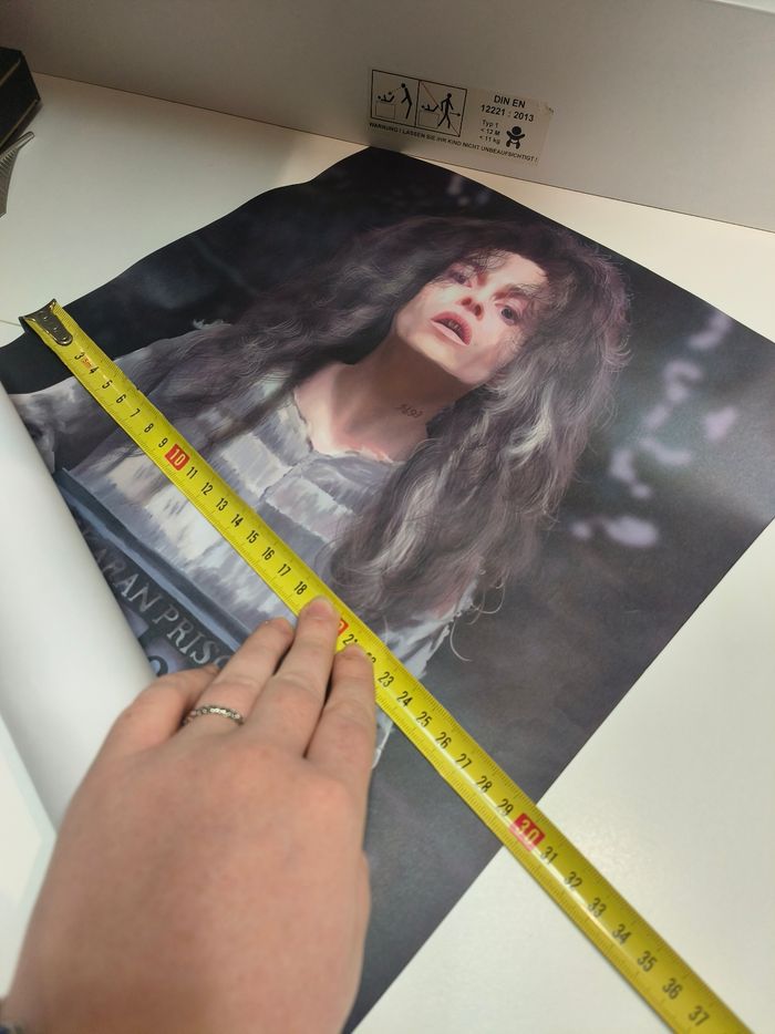 Affiche Bellatrix Lestrange Harry Potter - photo numéro 5