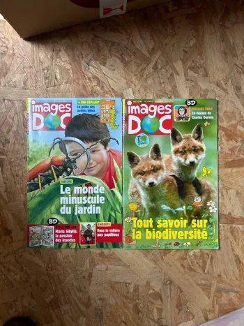 Lot de 2 images doc neuf