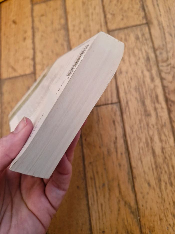 Lucinda Riley / Les Mystères de Fleat House - photo numéro 6