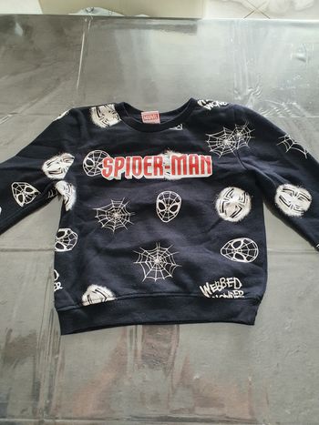 Sweat spiderman