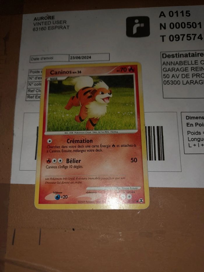Carte pokemon