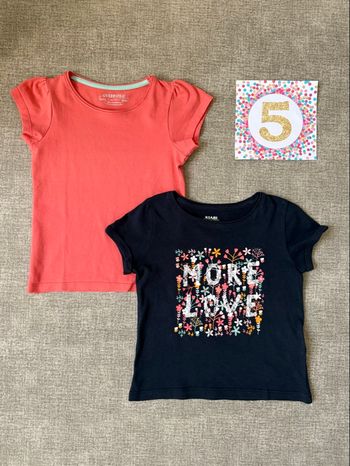 Lot 2 tshirts manches courtes (parfait état)