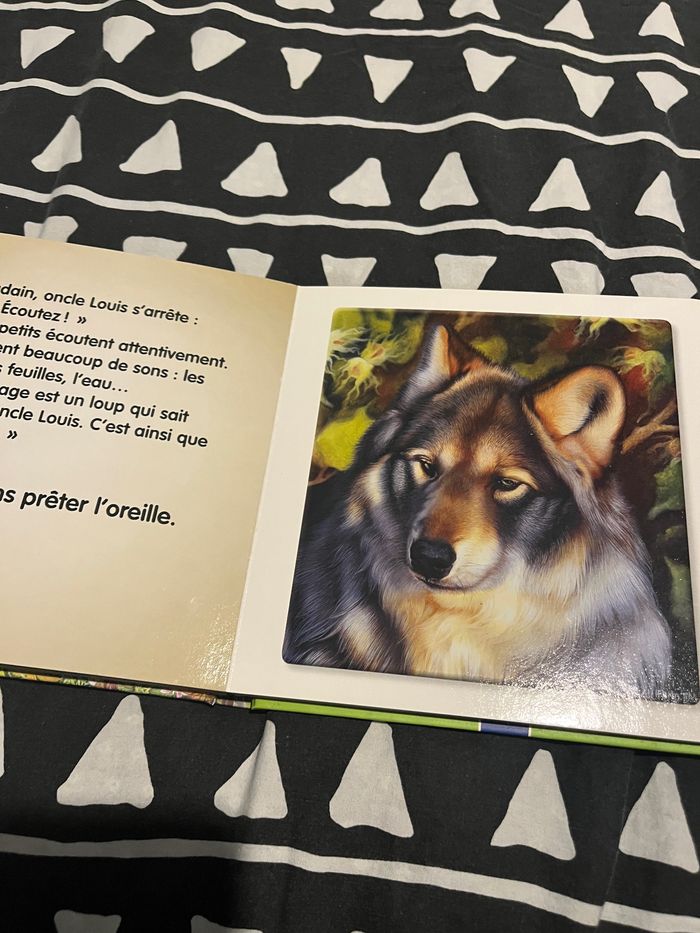 Livre enfant loups - photo numéro 4