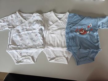 Lot 3 Bodies renard 6m mixte