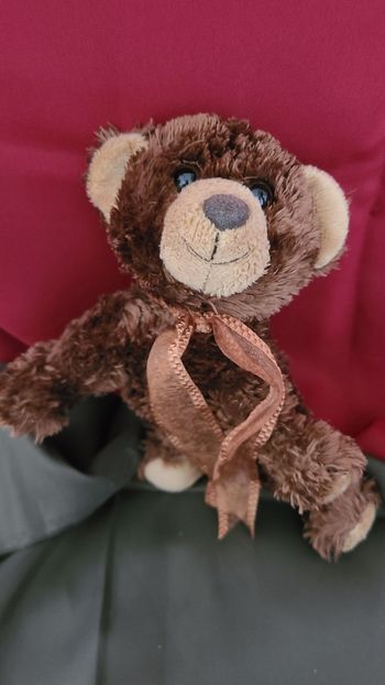 doudou ours allongé