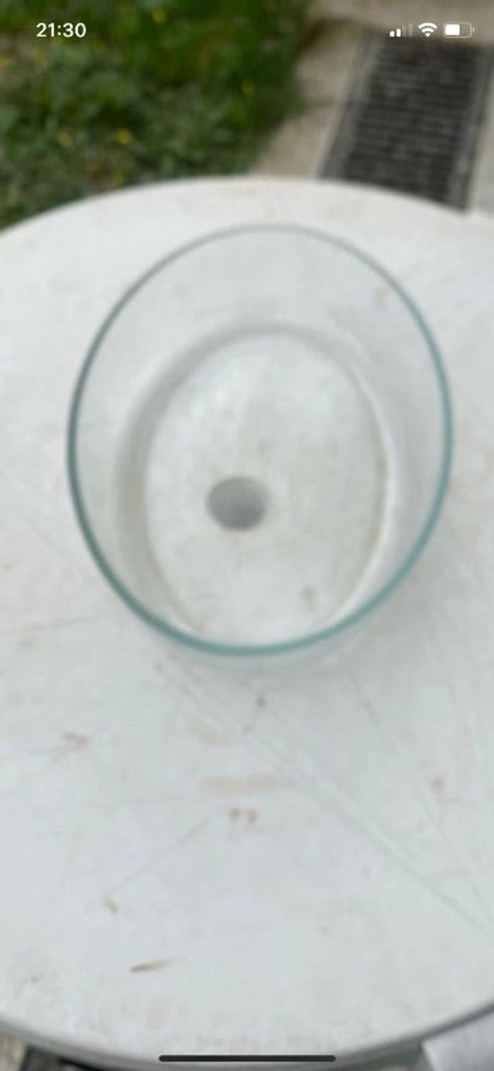 Plat en Pyrex