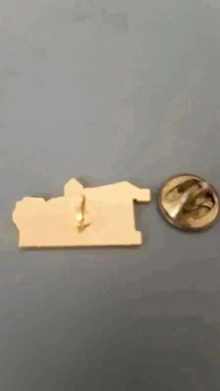 Pin's notre dame des sans abri - photo numéro 2