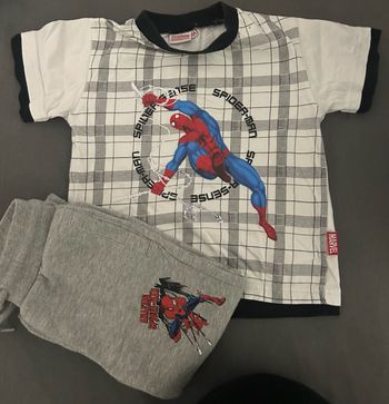 Ensemble Spiderman