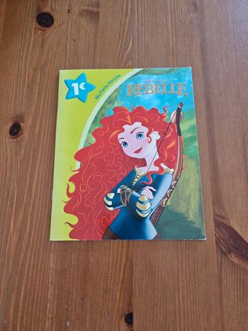 Livre Rebelle Disney be