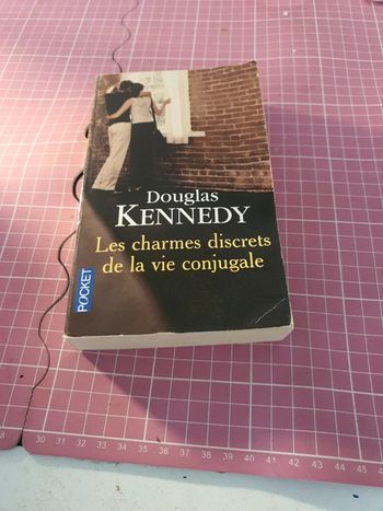 les charmes discrets de la vie conjugale
