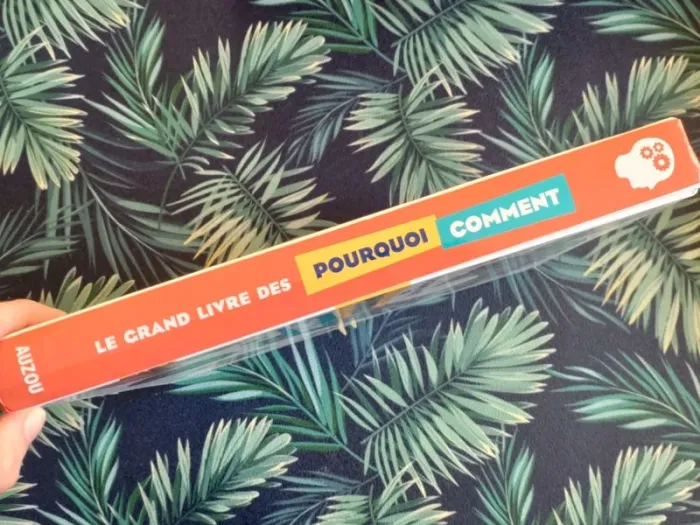 Le grand livre des Pourquoi Comment - photo numéro 2