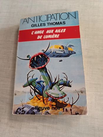 Livre l'ange aux ailes de lumière