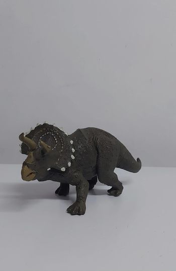 Dinosaure tricératops plastique dure triceratops dinosaur préhistoire