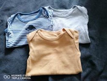 Lot de 3 bodies bébé garçon