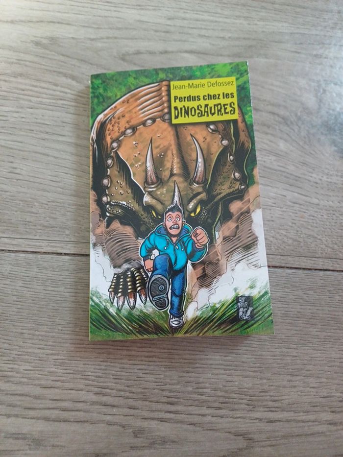 Livre enfant 9.10 ans