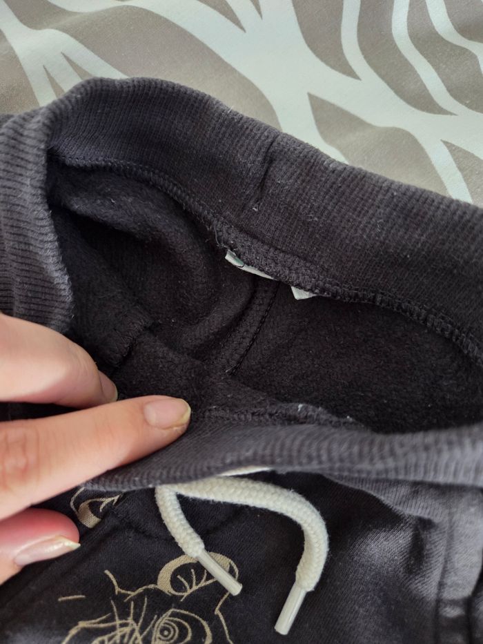 Jogging roi lion - photo numéro 6