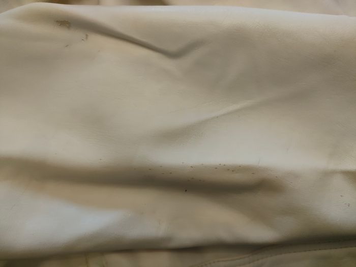 Blazer fille 12 ans - photo numéro 3