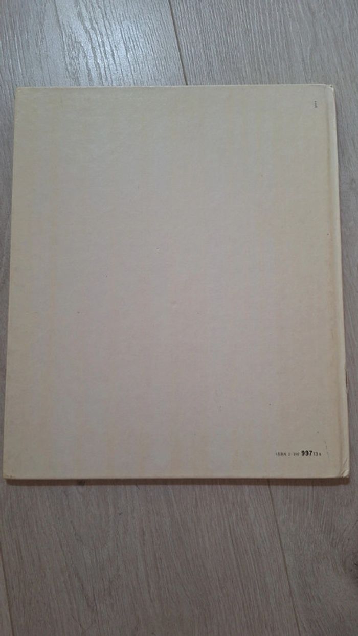 Livre la maison des poupées - photo numéro 2