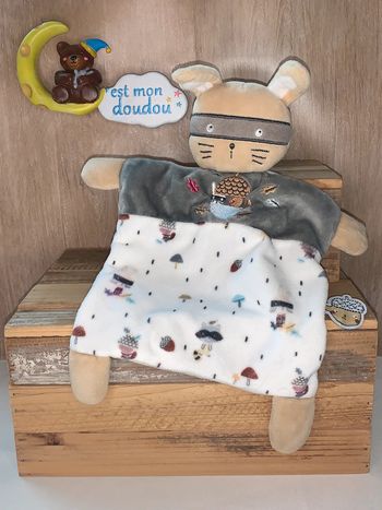 MD151 doudou lapin 🐰 mots d’enfants