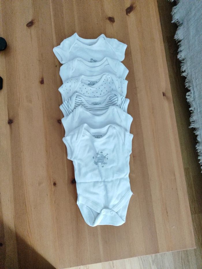 Lot 6 bodies