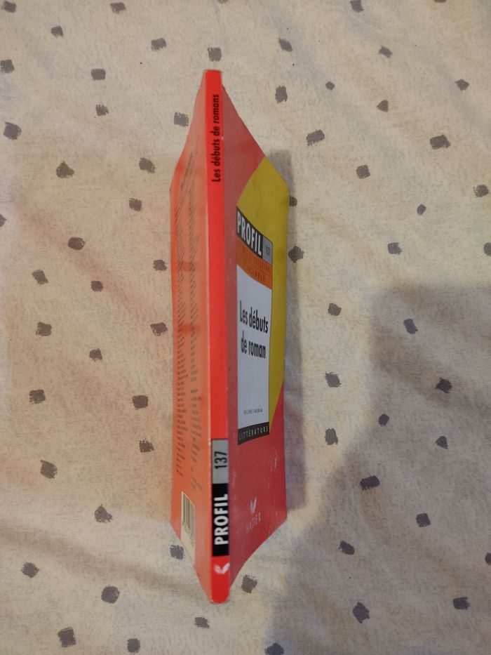 Les Débuts de roman - photo numéro 3